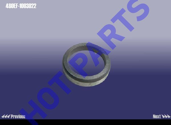 картинка RING - EXHAUST VALVE SEAT  480EF-1003022