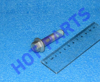 картинка HEX FLANGE BOLT  Q1851250TF61SK